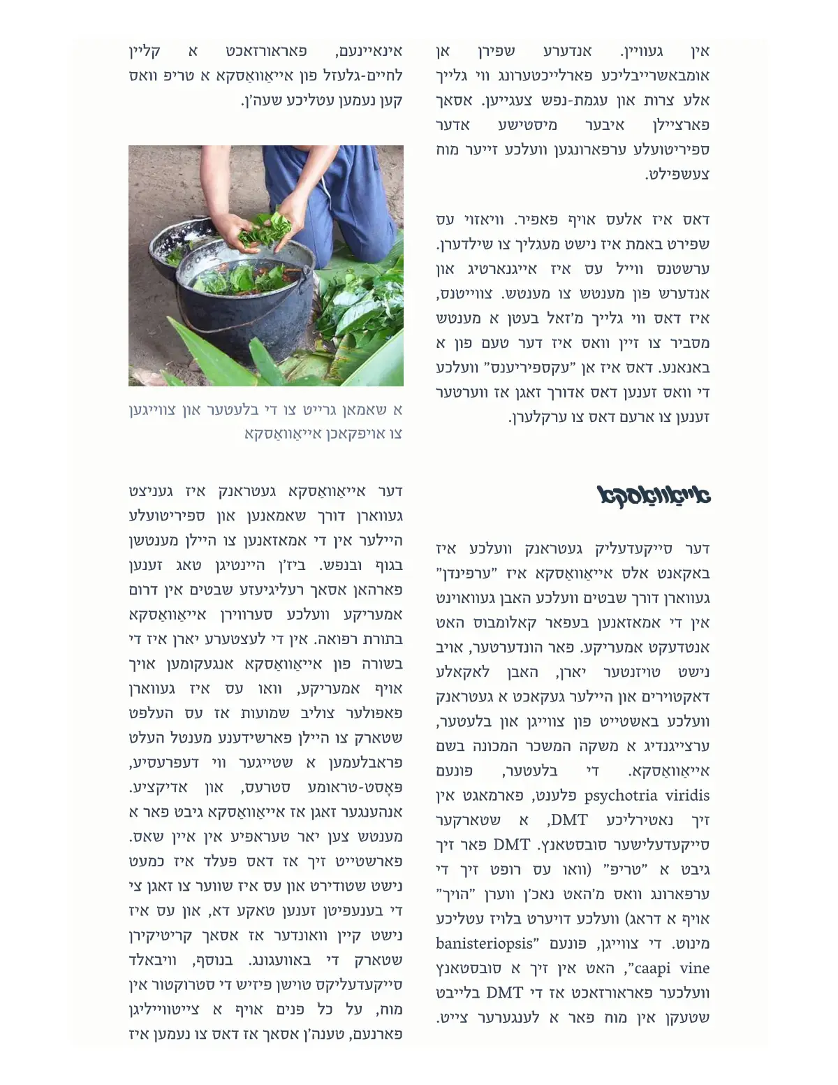 זייט 36